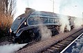 Sir Nigel Gresley at Watlington (2010)