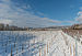 Snow-covered vineyards between Hattenheim and Hallgarten 20150201 1.jpg