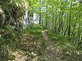 Monte Tavagnone, il sentiero forestale che conduce alla località Martelletto e Droane, ampliato dall'ERSAF Lombardia negli anni settanta del secolo scorso