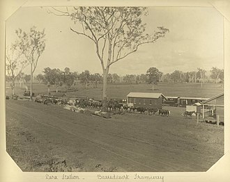 Lara station on the Beaudesert Tramway StateLibQld 2 232890 Lara Station on the Beaudesert Tramway.jpg