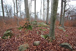 Grave mound Stegelitz grave 2