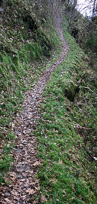 <i>Steig</i> Narrow footpath over mountains or hills