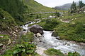 Čeština: Potok beze jména na konci Grossglocknerské vysokohorské silnice, Rakousko. English: Stream without name at end of Grosglockner Hochalpenstrasse, Austria.