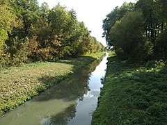 Суха Згар неподілік с. Хвильово-Сорочин