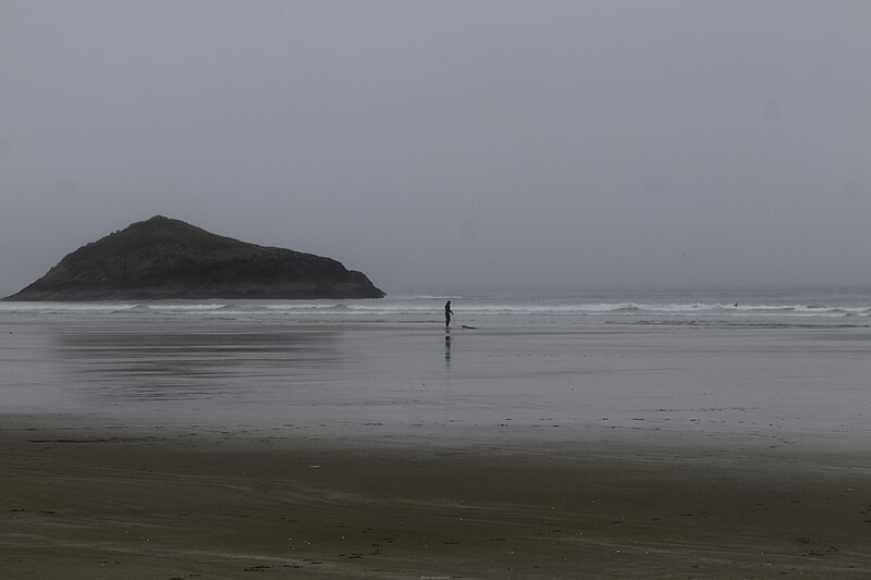 File:Surfer in Long beach 06.jpg