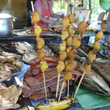 Skewers of suri (Rhynchophorus palmarum larvae) for sale by a food vendor in Iquitos, Peru Suri Iquitos Peru.png