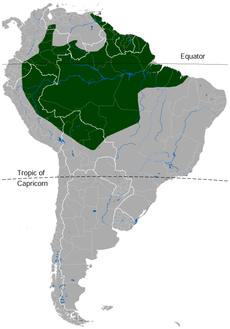 Suriname Toad Pipa pipa distribution map.png