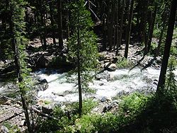 Swift Creek viewed from a footbridge in July 2005