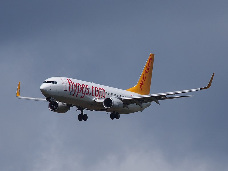 File:TC-IZE Pegasus Boeing 737-86J(WL) - cn 37740, 12Aug2014, landing at Schiphol (AMS - EHAM), The Netherlands.JPG