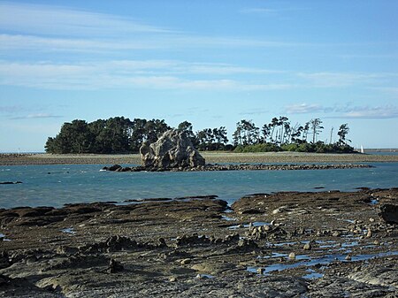 ไฟล์:Tahunanui Beach - 4406892213.jpg