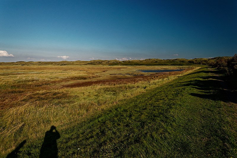 File:Texel - De Slufter - View East VIII.jpg