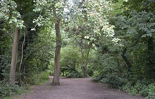 <span class="mw-page-title-main">The Wick Local Nature Reserve</span>