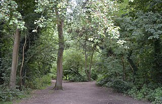 The Wick Local Nature Reserve