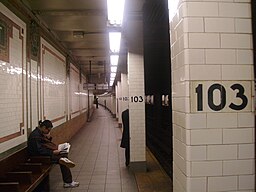 The southern view of the downtown 103rd Street station
