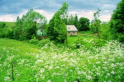 Токарния ауылындағы үйлердің көрінісі