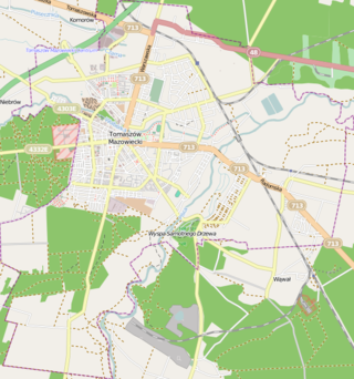 Mapa konturowa Tomaszowa Mazowieckiego, w centrum znajduje się punkt z opisem „Kościół Zbawicielaw Tomaszowie Mazowieckim”