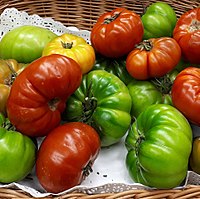 Tomates Marmalin 2017 A3.jpg