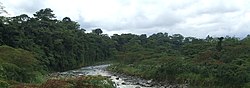 Yellow Bull River.  Costa Rica (1).jpg