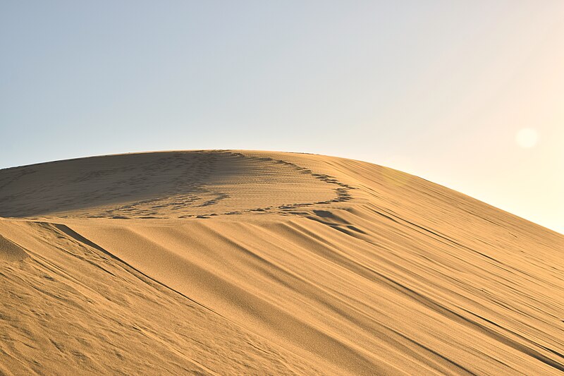 File:Tottori Sand Dunes (51820967907).jpg