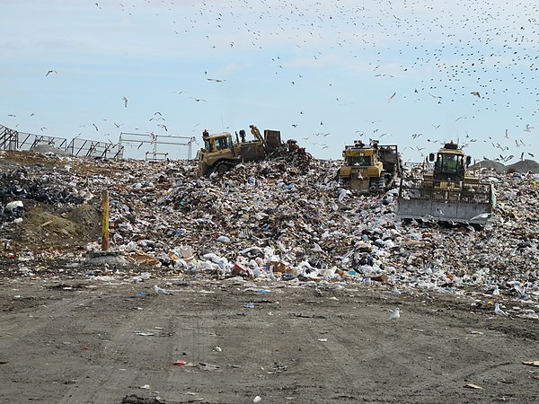 Landfill full of trash