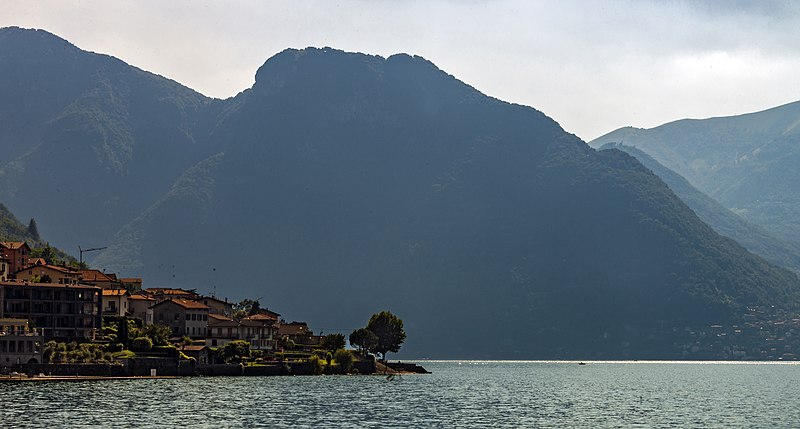 File:Tree on point at Lezzeno, Lake Como.jpg