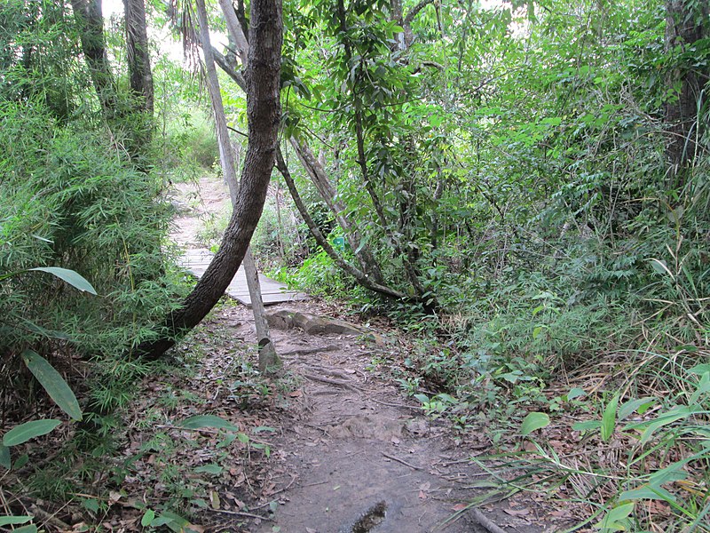 File:Trilha da prainha na Cachoeira da Velha.JPG