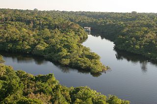 <span class="mw-page-title-main">Tarumã Açu River</span> River in Brazil