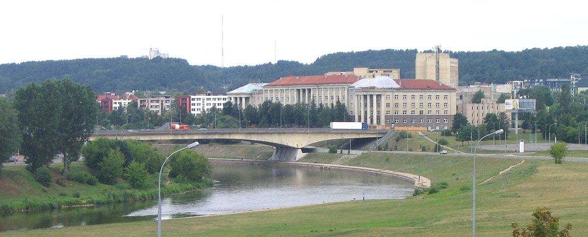 Pedagoginis universitetas kaune