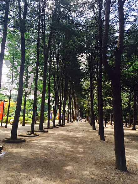 View of Nami Island