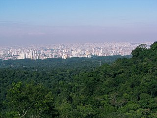 <span class="mw-page-title-main">Cantareira State Park</span>