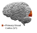 תמונה ממוזערת לגרסה מ־19:29, 23 ביולי 2008