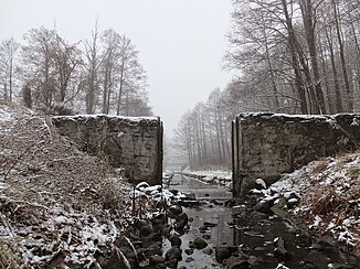 The remains of a weir by the Młyński Staw pond.