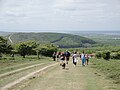 Walk the Wight 2011, seen at Mottistone Down, Isle of Wight.