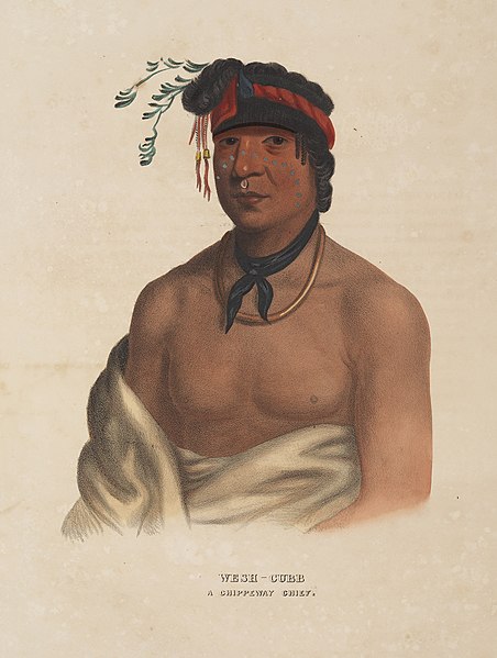 File:Wesh-Cubb, A Chippeway Chief. (15870367152).jpg