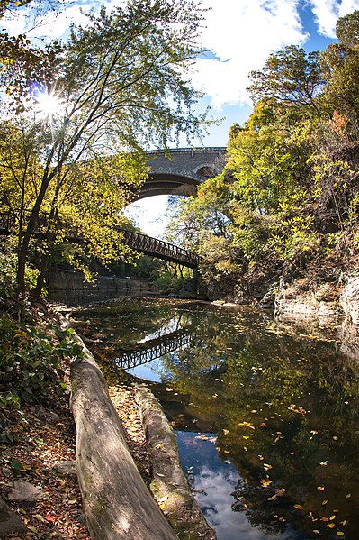 Wissahickon Creek with Wissahickon Memorial Bridge in Background, 2008
