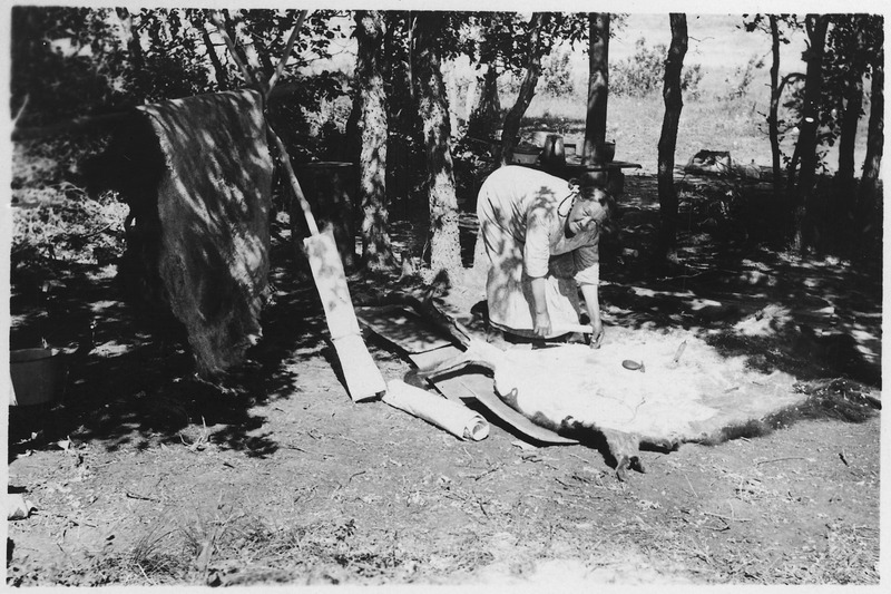 File:Woman rolling out animal skin - NARA - 285648.tif