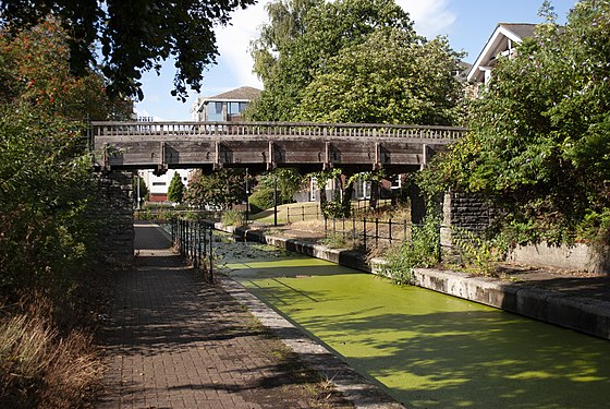 Duckweed-covered canal