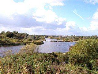 <span class="mw-page-title-main">Woolston, Cheshire</span> Human settlement in England