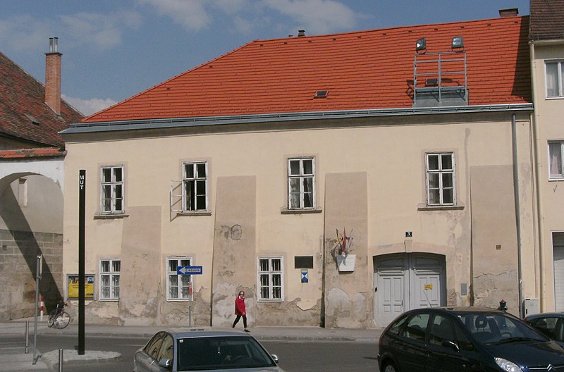 File:WrNeustadt Domplatz 3.JPG