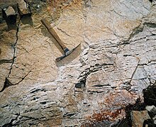 A chromite prospect in Yukon. The black bands are chromite, which also carries platinum group metals. Gray rock is bleached ultramafics. Yukon chromite prospect.jpg