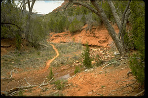 Zion National Park ZION9554.jpg