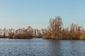 Zicht op de poel en de eilandjes.