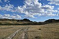 * Nomination Dirt road in Jusandala state reserve zone, Kazakhstan. By User:AlyonaKaptyonkina --Красный 07:21, 16 July 2024 (UTC) * Promotion  Support Good quality. --MB-one 12:19, 24 July 2024 (UTC)