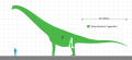 "Antarctosaurus" giganteus Size Chart.svg