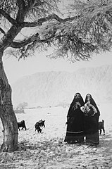 Palestinian bedouin 1930