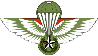 <span class="mw-page-title-main">Special forces of Algeria</span>