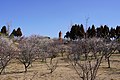 2020年2月26日 (水) 12:32時点における版のサムネイル