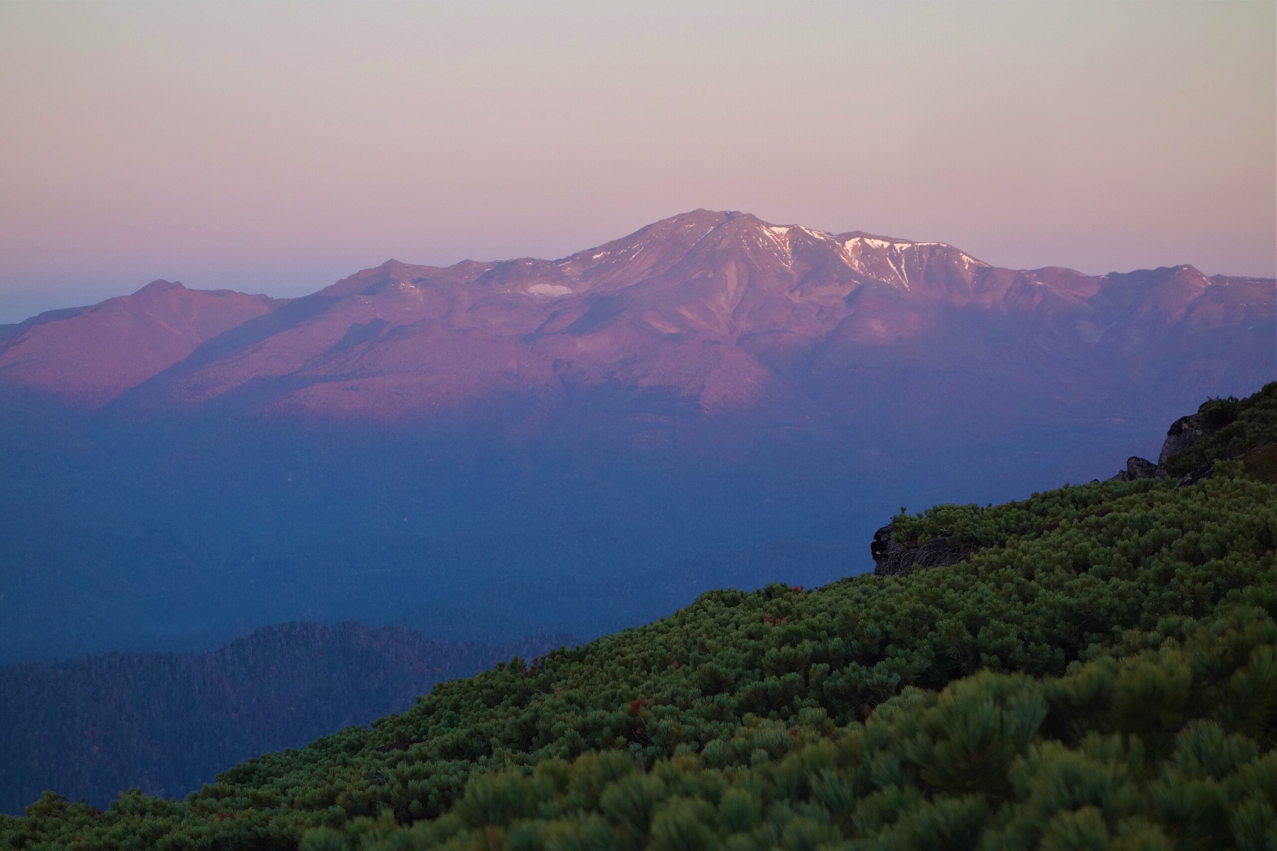 File ニペソツ山からモルゲンロートに染まるトムラウシ山 Jpg Wikimedia Commons