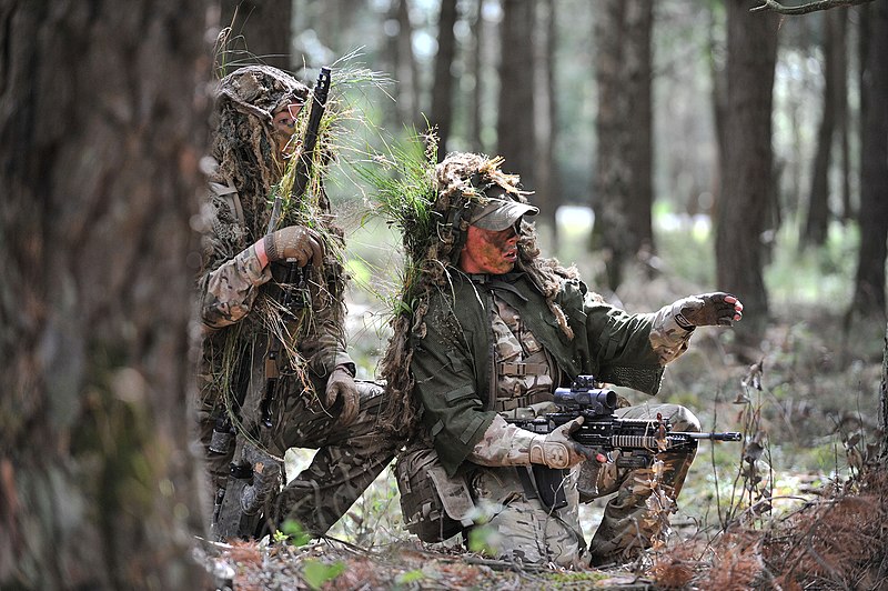 File:1-91 CAV Combined Sniper Exercise 150730-A-HE359-239.jpg