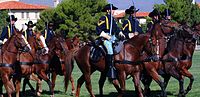 Thumbnail for 1st Cavalry Division Horse Cavalry Detachment